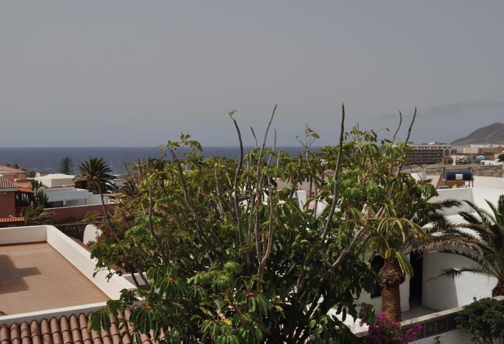 Los Cisnes Encantadora Casa Con Jardin Y Estudio Vista Al Mar El Médano Extérieur photo