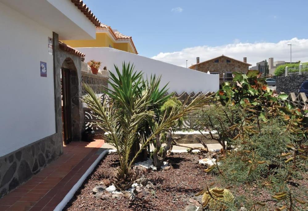 Los Cisnes Encantadora Casa Con Jardin Y Estudio Vista Al Mar El Médano Extérieur photo